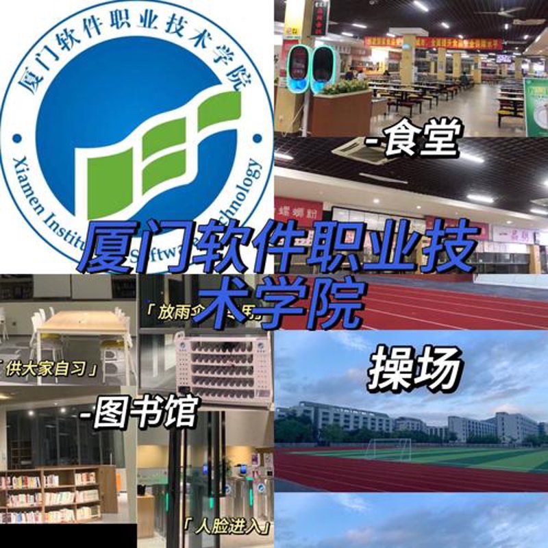 厦门软件定制，您的IT解决方案